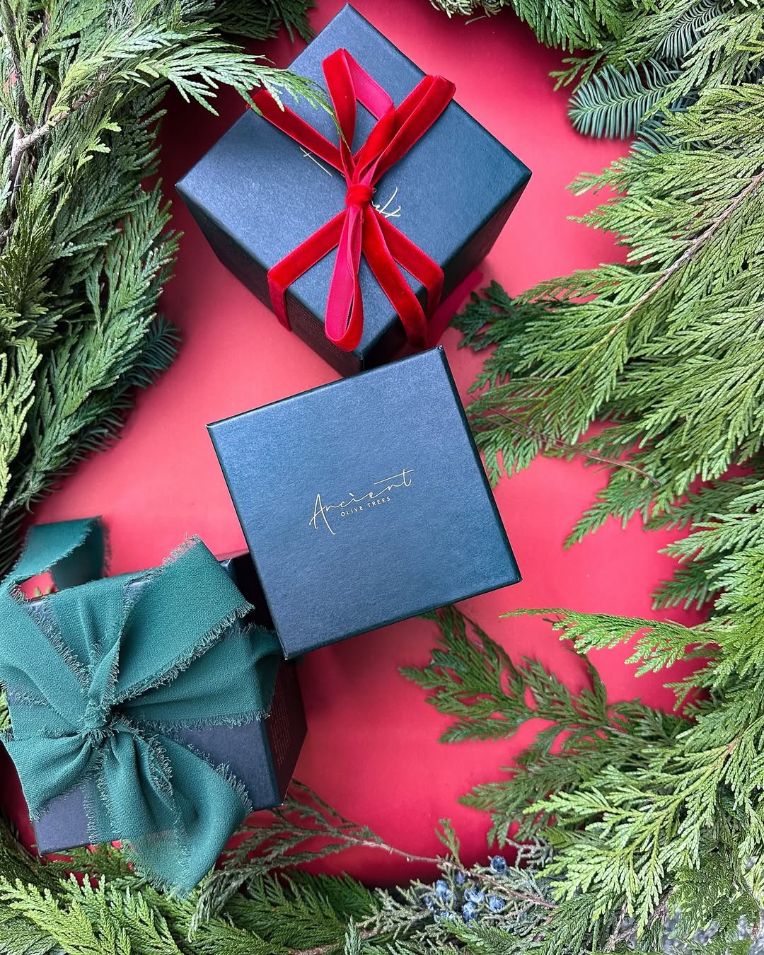Get your #AncientOliveTrees gifts in time for the holidays and order by December 17th! From our