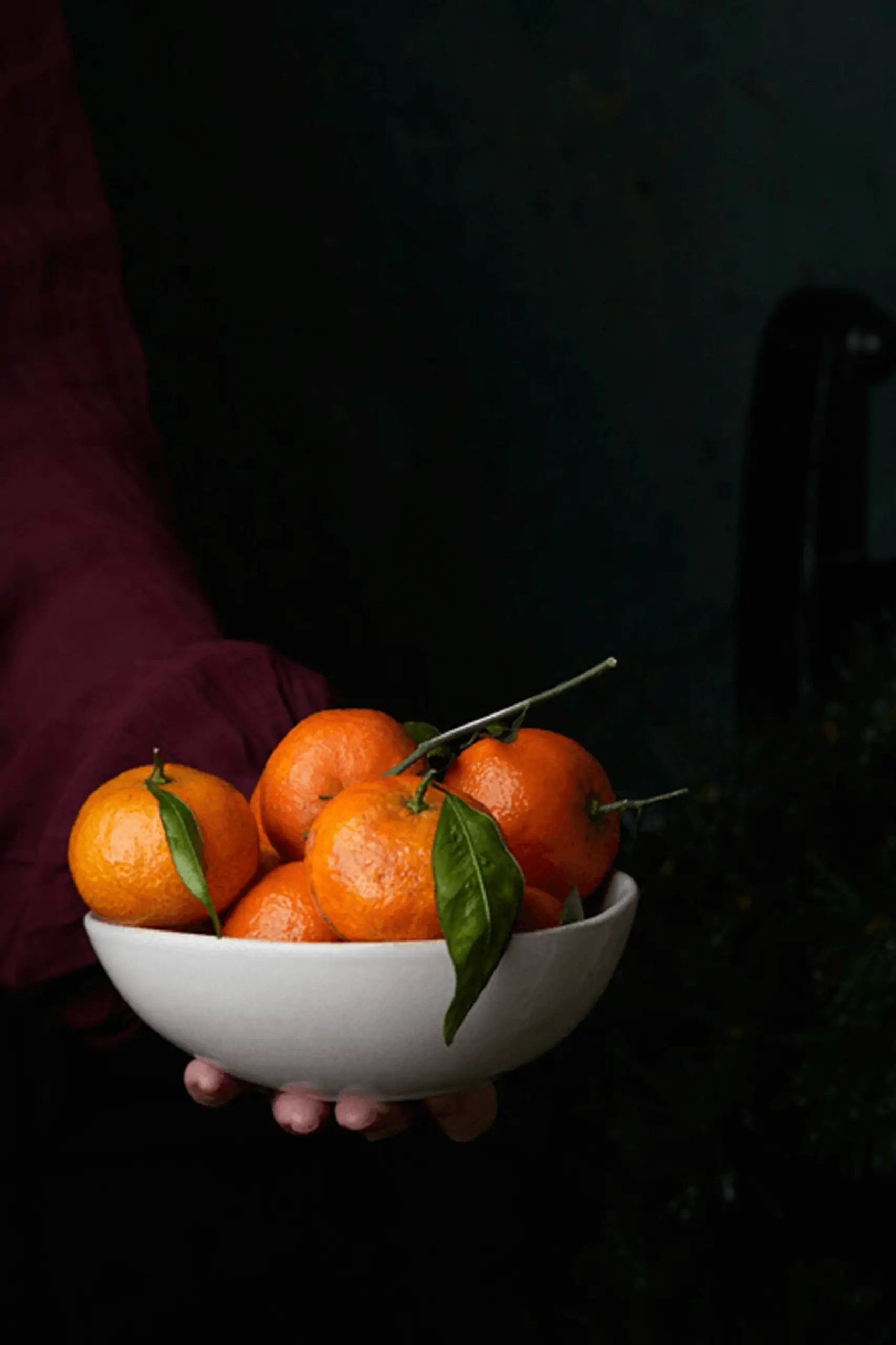 pet-trainer-illustration-05@2x