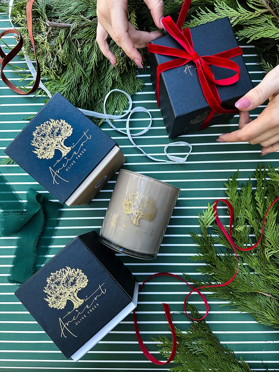 Ancient Olive Trees Case Study - 6