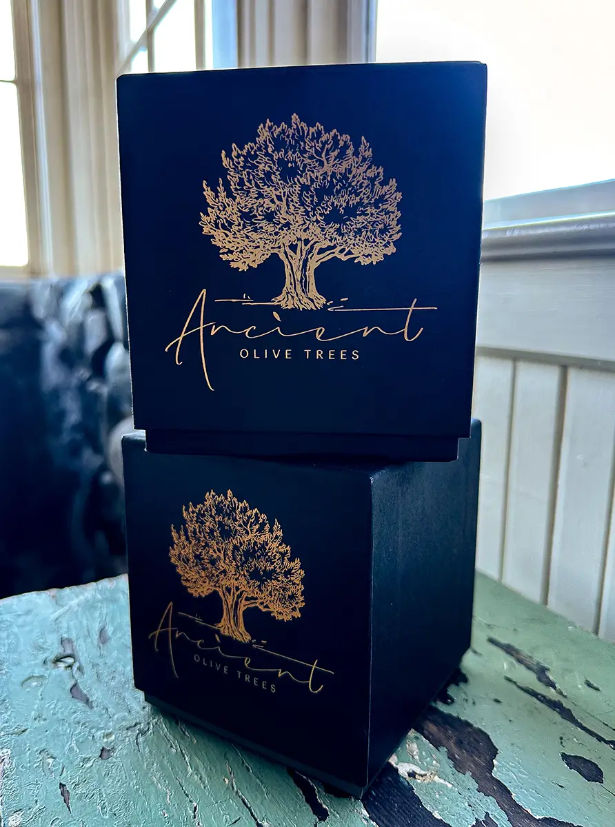 Ancient Olive Trees Case Study - 9