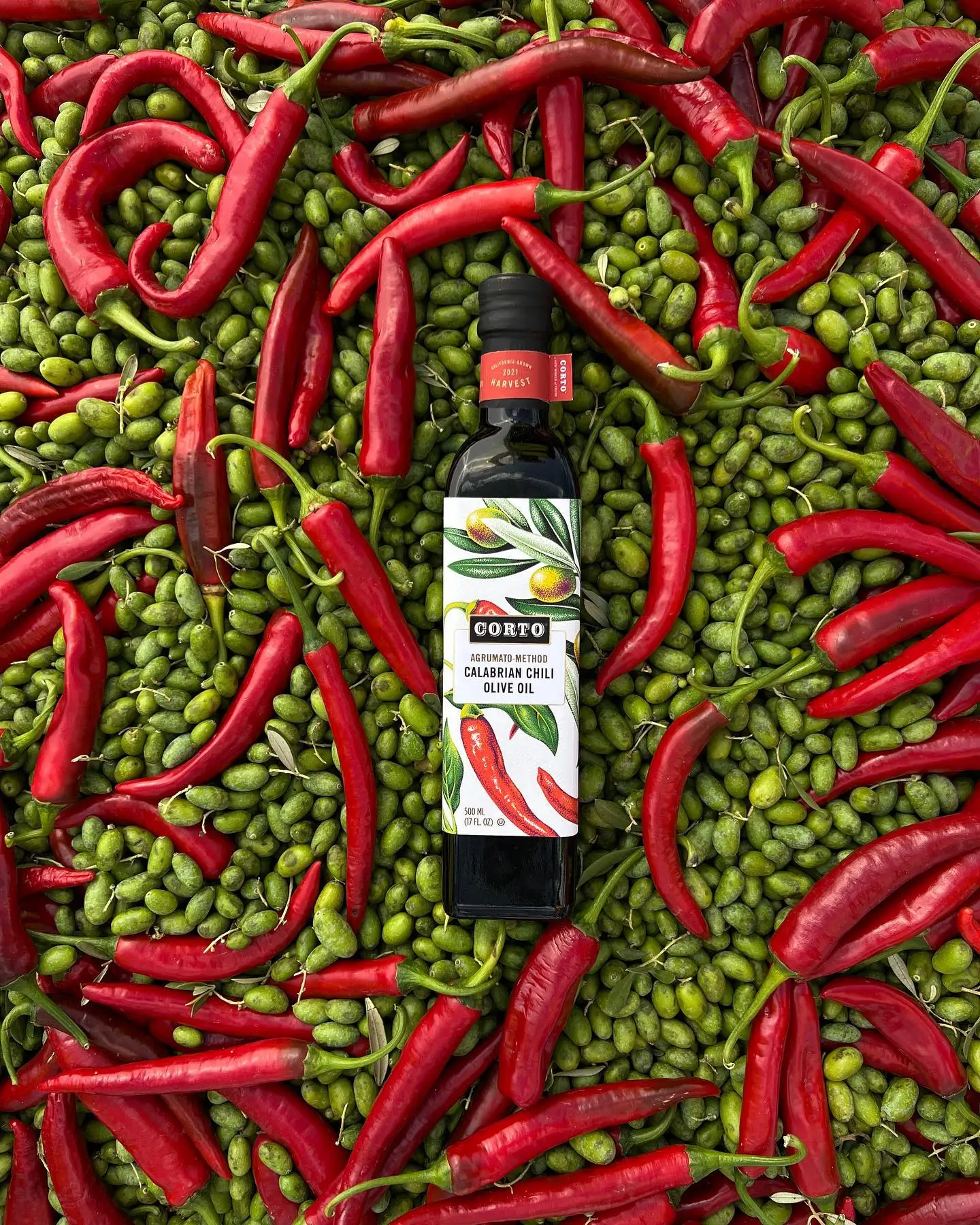 Corto Case Study - 1