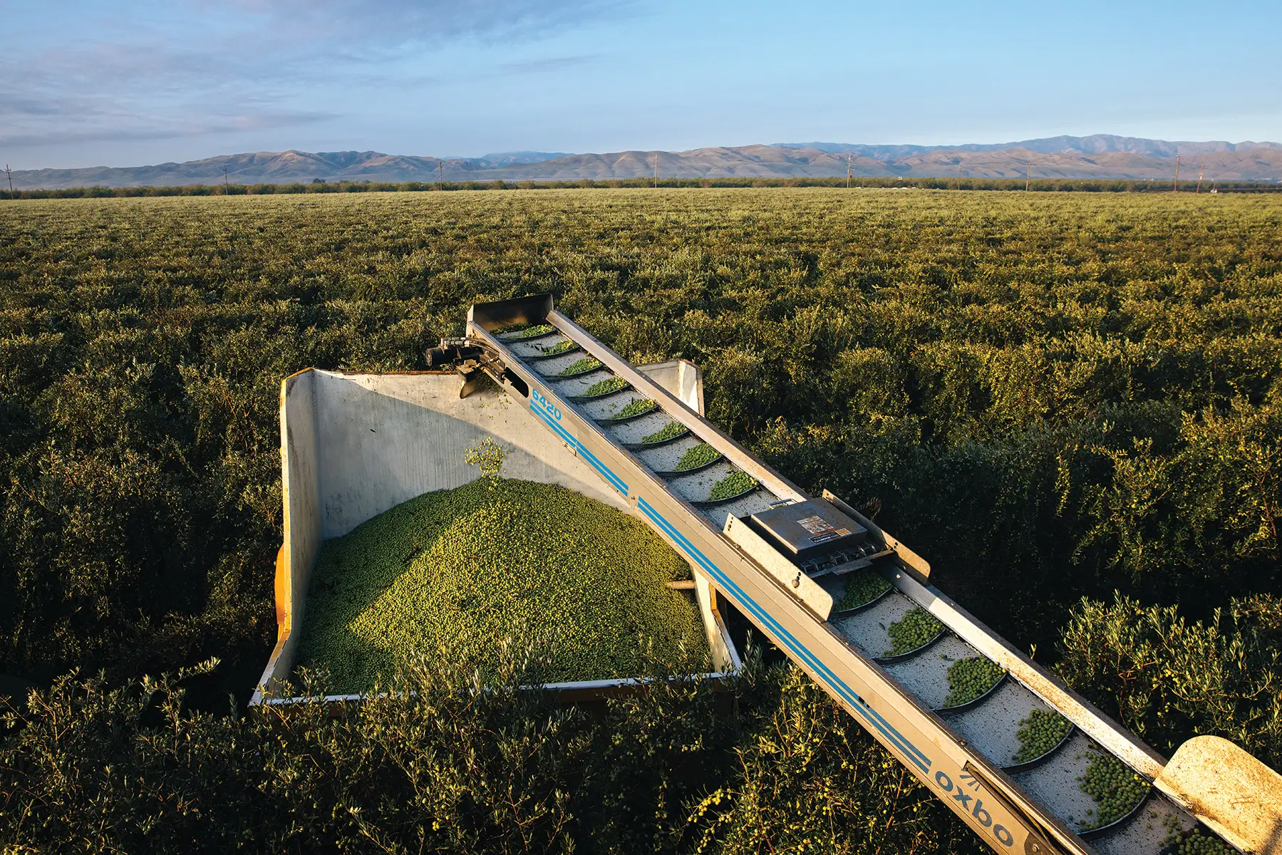 Corto Case Study - 3