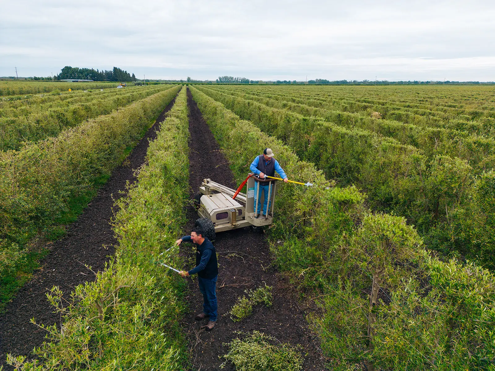 Corto Case Study - 4