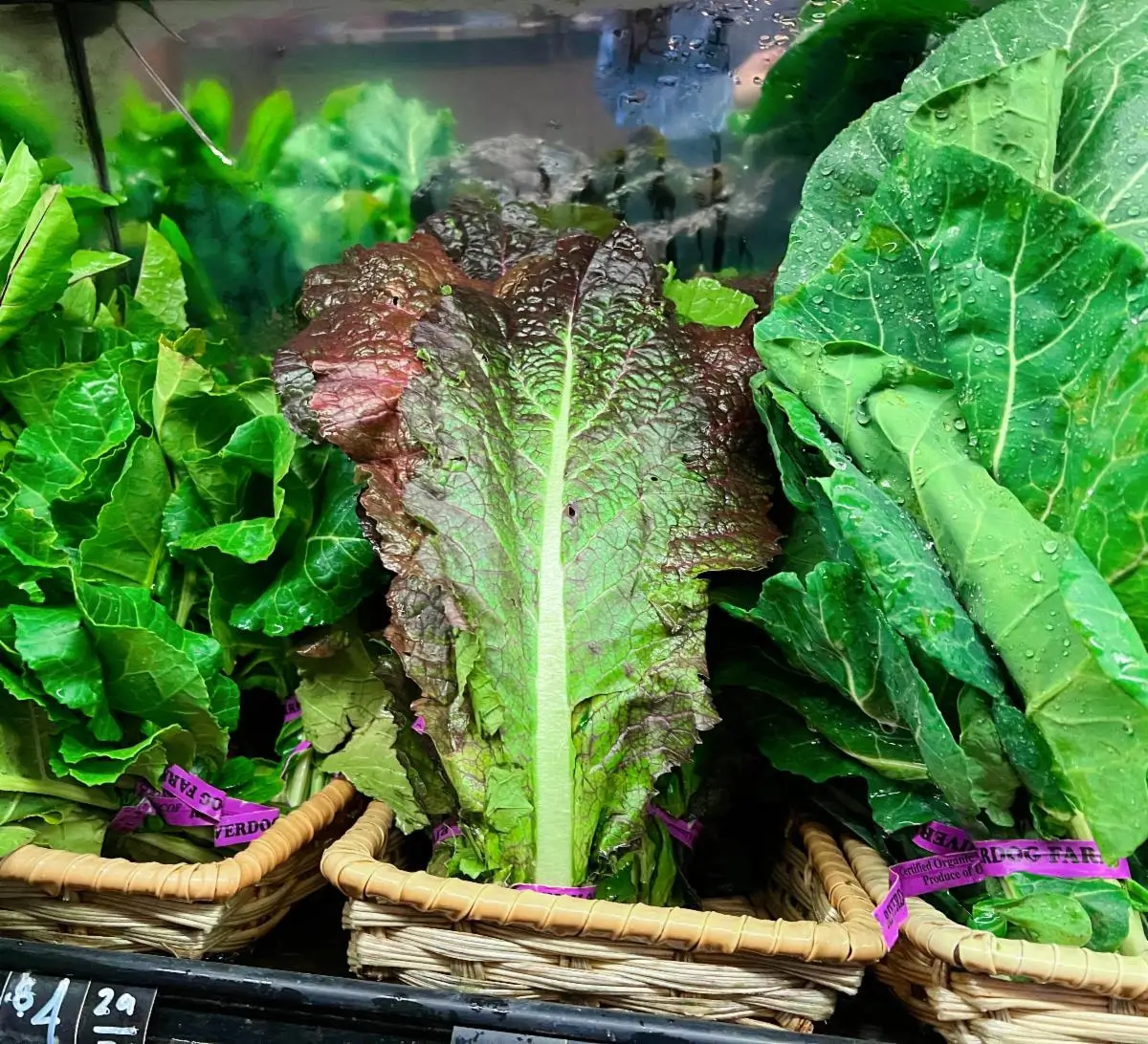 Oxbow Public Market Case Study - 9