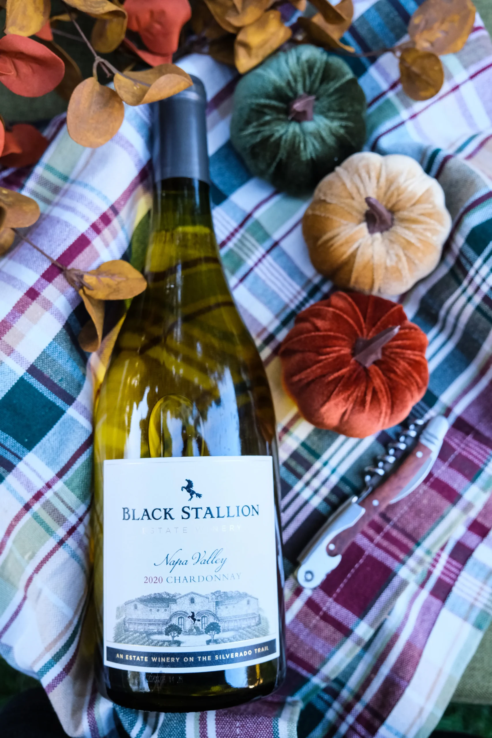 Visuals Case Study - 6